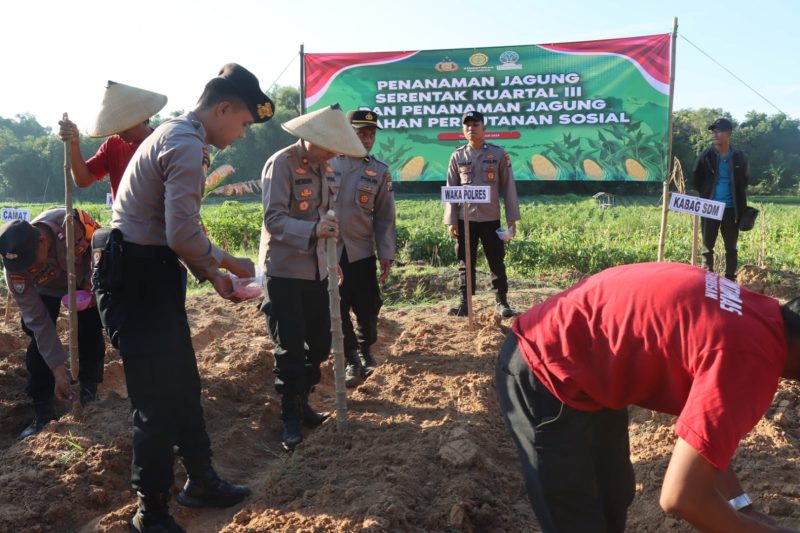 Polres Pamekasan menunjukkan komitmennya dalam mendukung program ketahanan pangan nasional dengan melaksanakan kegiatan Penanaman Jagung Serentak Kuartal III di lahan perhutanan sosial, Rabu (9/7/2025).