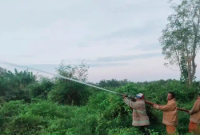 Waspada kebakaran.