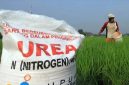 Ilustrasi petani dan pupuk di tengah sawah.
