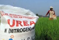 Ilustrasi petani dan pupuk di tengah sawah.