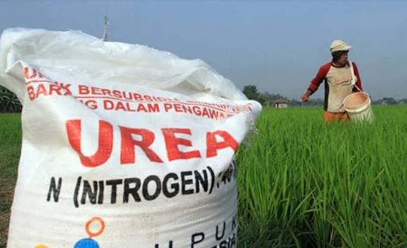 Ilustrasi petani dan pupuk di tengah sawah.