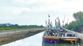 Kabar terbaru Polres Pamekasan diketahui telah memeriksa 170 nelayan terkait dugaan perusakan hutan mangrove di pesisir Pantai Desa Tanjung, Kecamatan Pademawu.