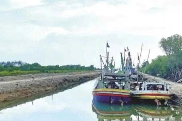 Kabar terbaru Polres Pamekasan diketahui telah memeriksa 170 nelayan terkait dugaan perusakan hutan mangrove di pesisir Pantai Desa Tanjung, Kecamatan Pademawu.