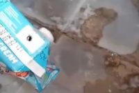 Viral MBG Susu Berulat di SDN Sentol 2 Pamekasan, Satgas Kapan Akan Tindak Tegas?