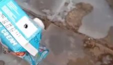 Viral MBG Susu Berulat di SDN Sentol 2 Pamekasan, Satgas Kapan Akan Tindak Tegas?