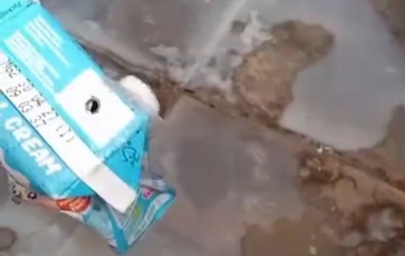 Viral MBG Susu Berulat di SDN Sentol 2 Pamekasan, Satgas Kapan Akan Tindak Tegas?