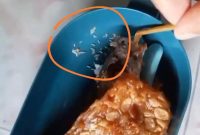 Tangkapan layar dari video viral.