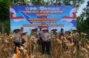 Kuartal 2, Polisi Pamekasan Panen Jagung Serentak di Kawasan Palengaan.