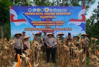 Kuartal 2, Polisi Pamekasan Panen Jagung Serentak di Kawasan Palengaan.