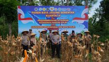 Kuartal 2, Polisi Pamekasan Panen Jagung Serentak di Kawasan Palengaan.