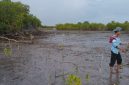 Anak muda pecinta lingkungan tengah menanam mangrove di pesisir Ambat Pamekasan.