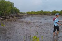 Anak muda pecinta lingkungan tengah menanam mangrove di pesisir Ambat Pamekasan.