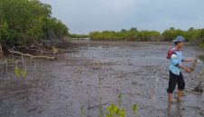 Anak muda pecinta lingkungan tengah menanam mangrove di pesisir Ambat Pamekasan.