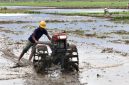 Ilustrasi. Petani saat menggunakan alsintan di lahan pertaniannya.