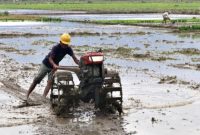 Ilustrasi. Petani saat menggunakan alsintan di lahan pertaniannya.