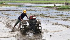 Ilustrasi. Petani saat menggunakan alsintan di lahan pertaniannya.