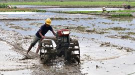 Ilustrasi. Petani saat menggunakan alsintan di lahan pertaniannya.