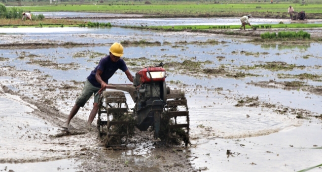 Ilustrasi. Petani saat menggunakan alsintan di lahan pertaniannya.