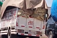 Tangkapan layar video mobil kopdes dibuat angkut tembakau.